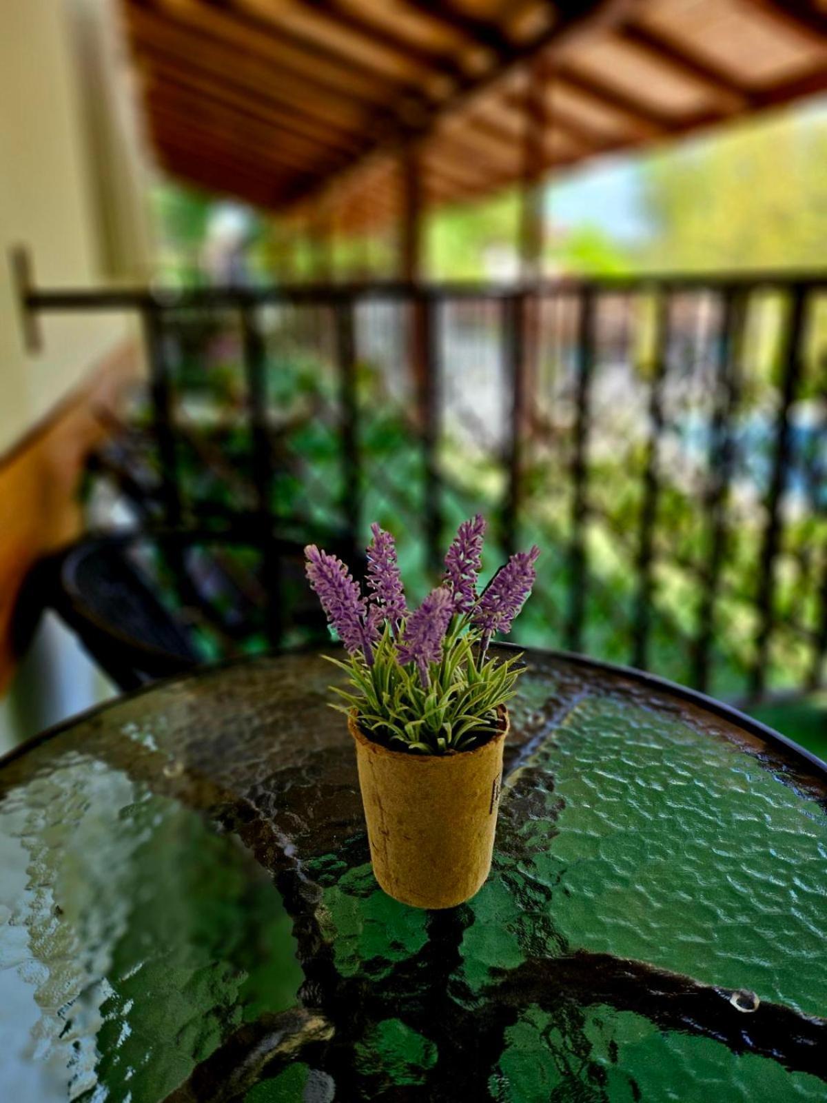 Orehite-Family Hotel ,Food & Pool Bozhichen Zewnętrze zdjęcie